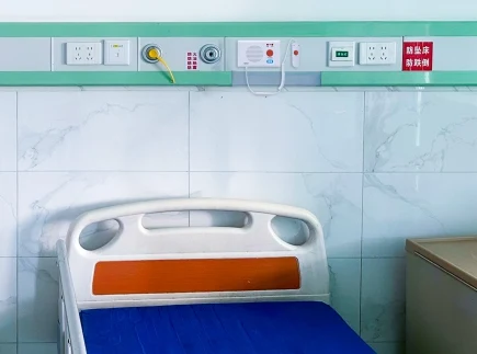 Bed Head Panel